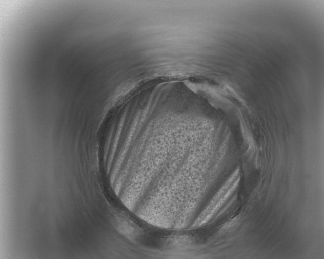 X0000066960685200604072005