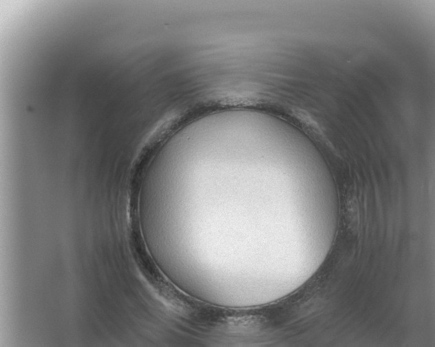 X0000066960686200604072005