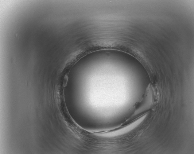 X0000066960688200604072005