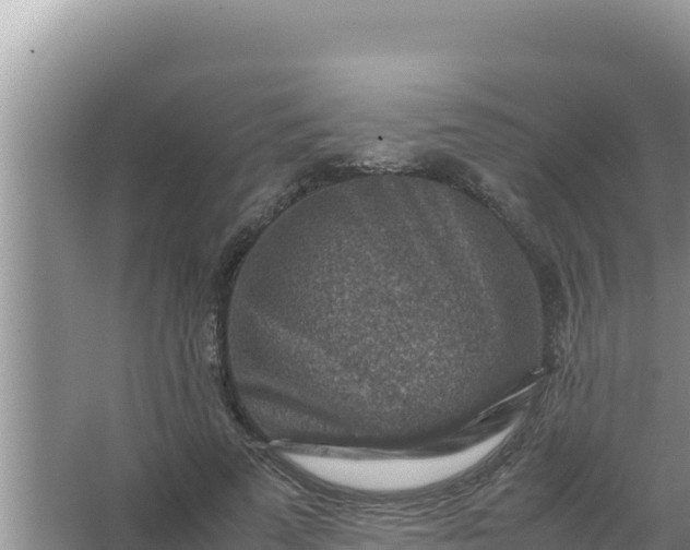 X0000066960689200604072005