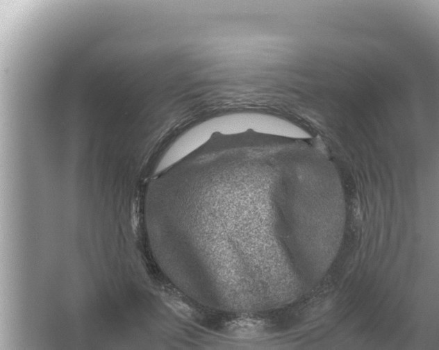 X0000066960691200604072005