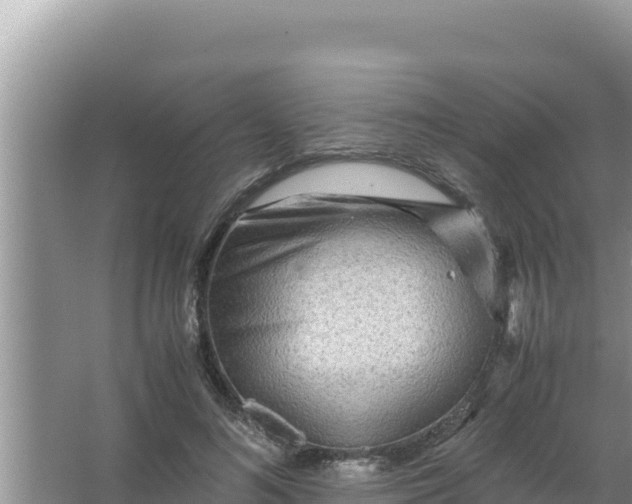 X0000066960692200604072005