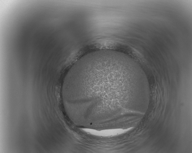 X0000066960695200604072005