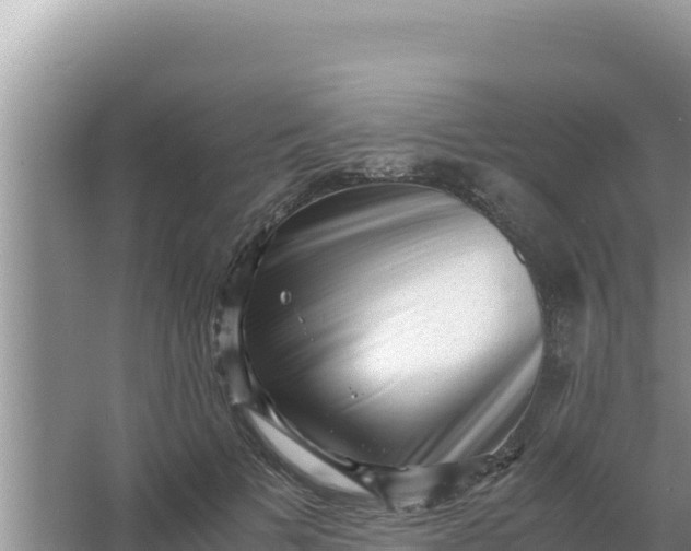 X0000066960697200604072005