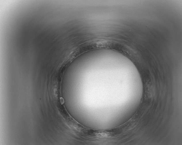 X0000066960698200604072005