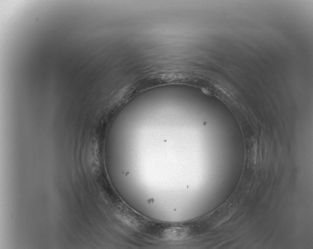 X0000066960700200604072005