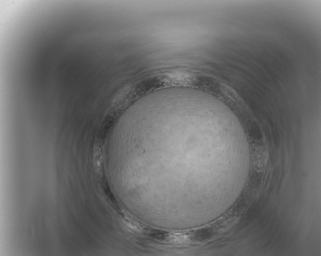 X0000066960701200604072004