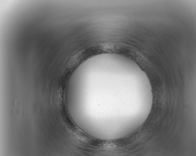 X0000066960702200604072004