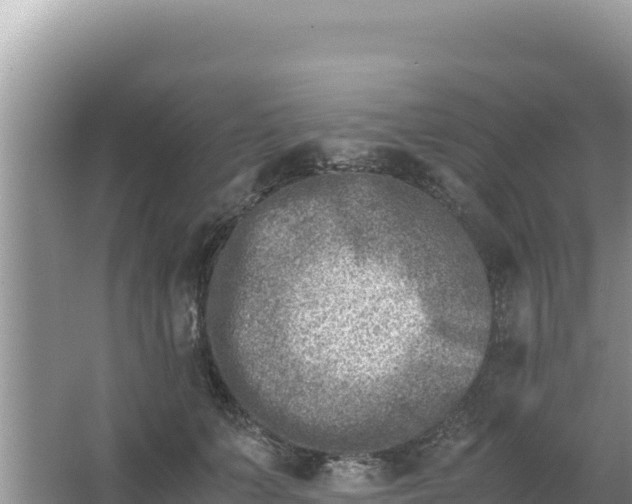 X0000066960703200604072004