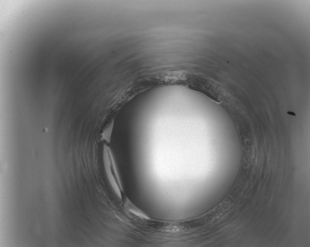 X0000066960704200604072004