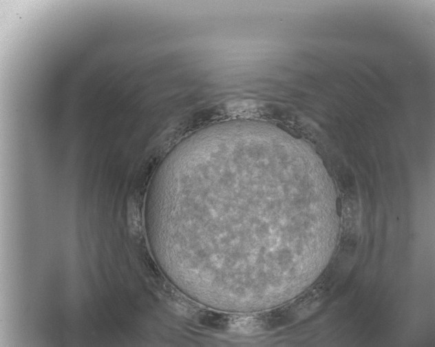 X0000066960705200604072004