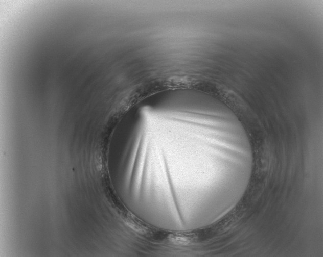 X0000066960706200604072004