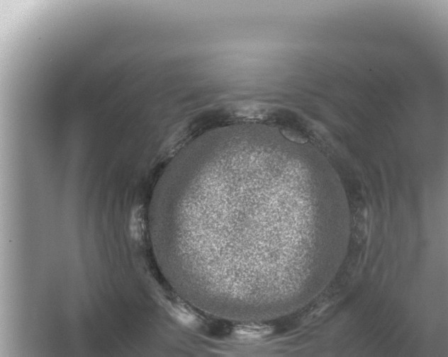 X0000066960707200604072004