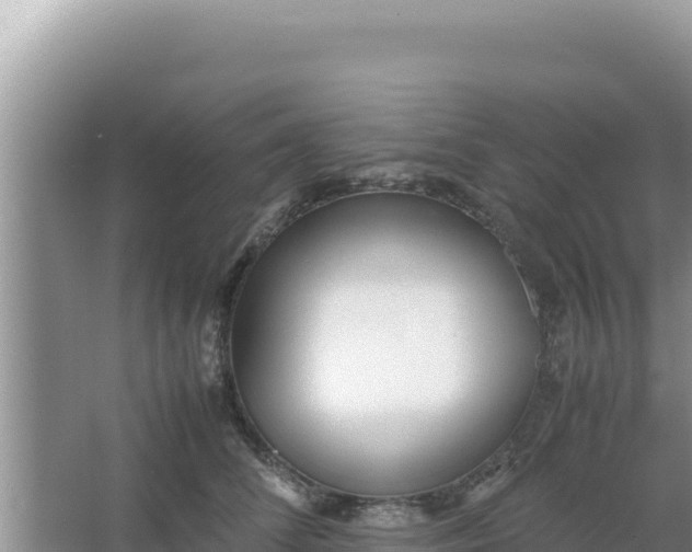 X0000066960708200604072004