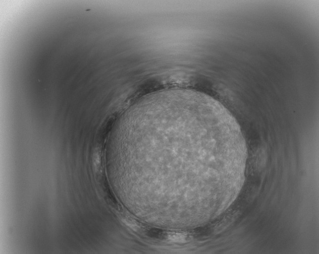 X0000066960709200604072004