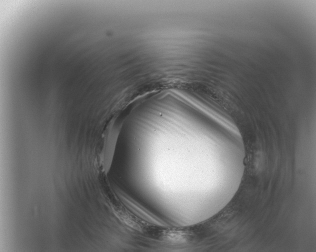 X0000066960710200604072004