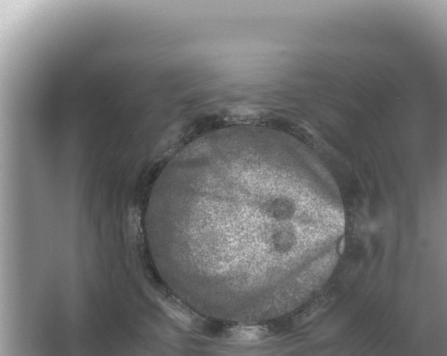 X0000066960711200604072004