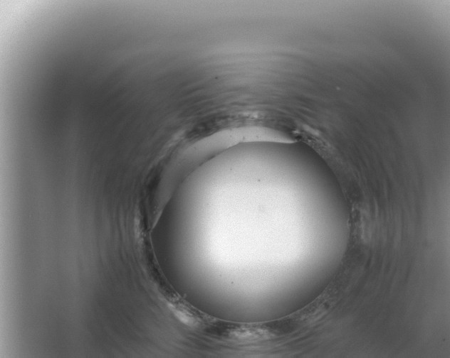 X0000066960712200604072004