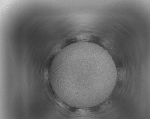 X0000066960713200604072004