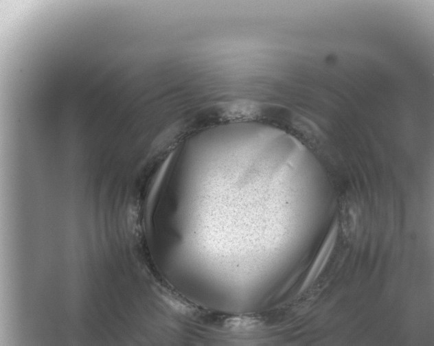 X0000066960714200604072004