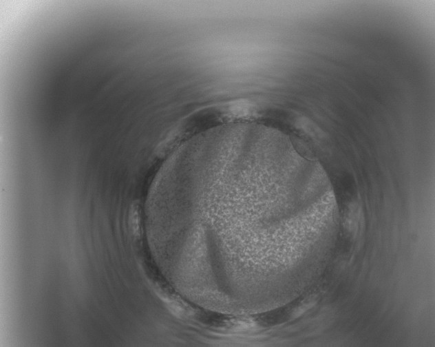 X0000066960715200604072004