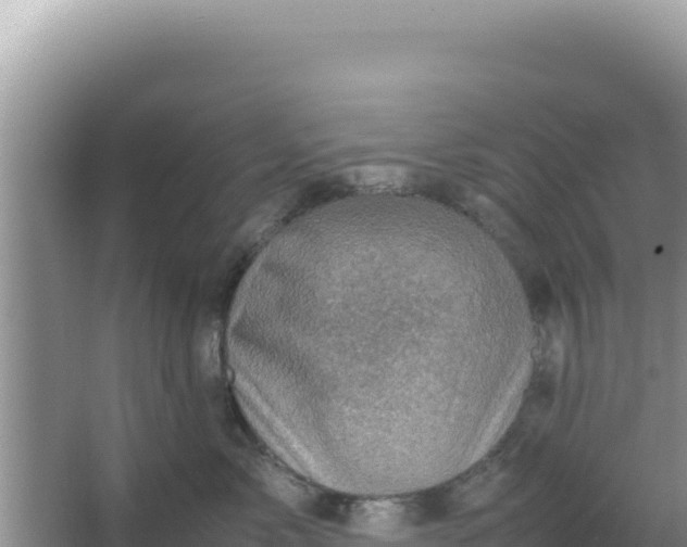 X0000066960717200604072004