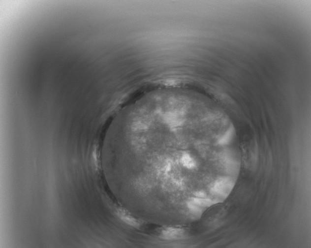 X0000066960718200604072004