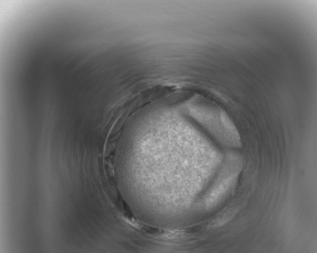 X0000066960720200604072004