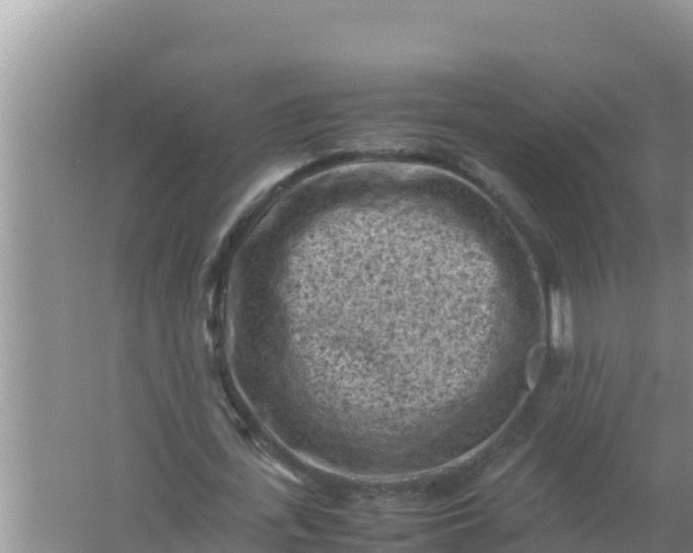 X0000066960723200604072003