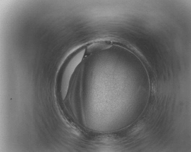 X0000066960724200604072003