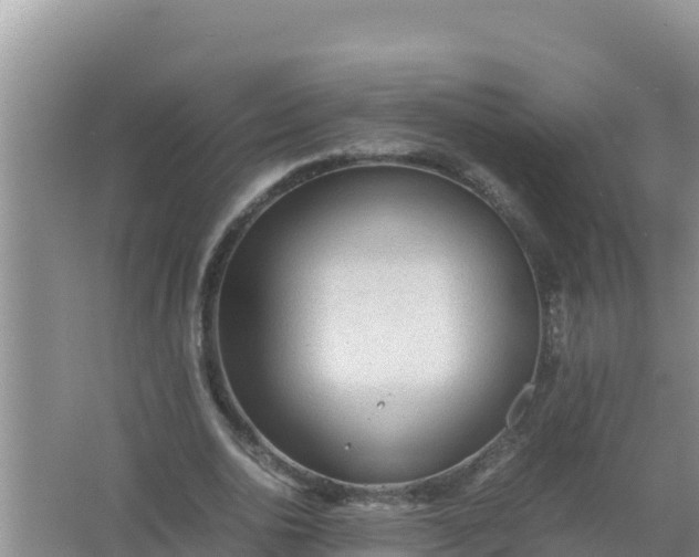 X0000066960726200604072003