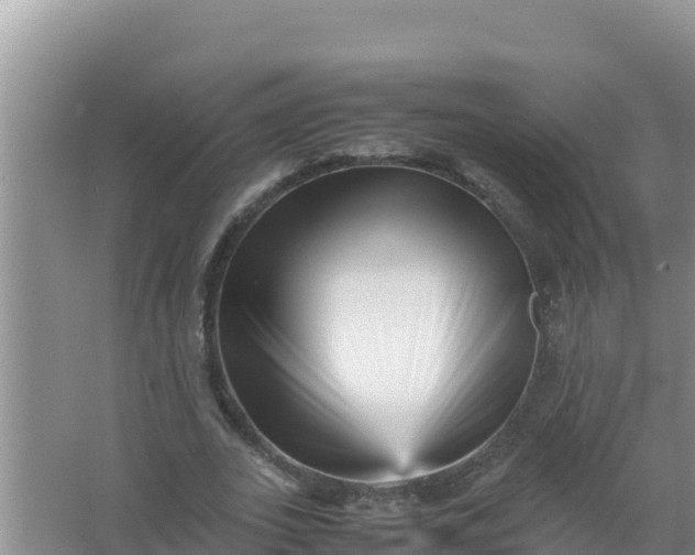 X0000066960727200604072003