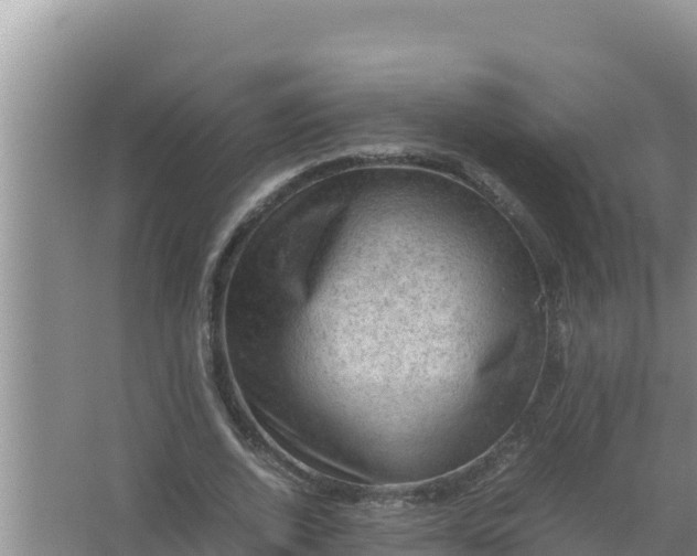 X0000066960728200604072003