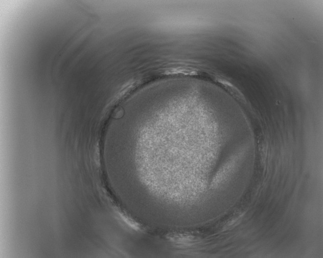 X0000066960729200604072003