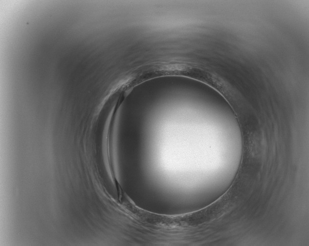 X0000066960731200604072004