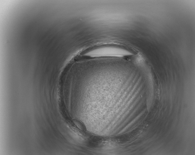 X0000066960732200604072004