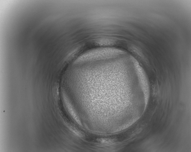 X0000066960733200604072004