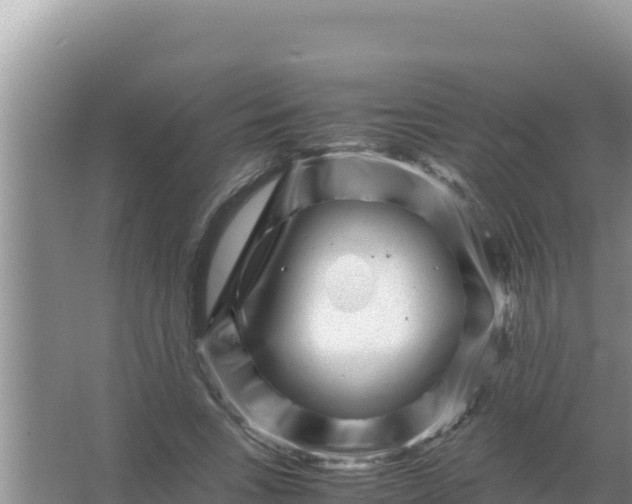 X0000066960735200604072004