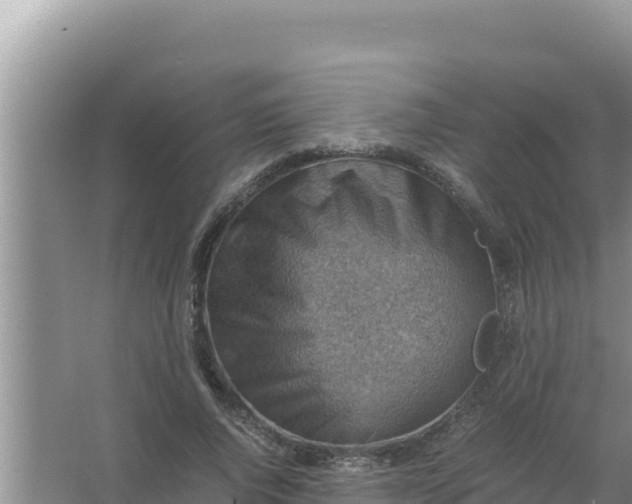 X0000066960736200604072004