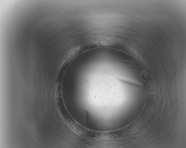 X0000066960738200604072004