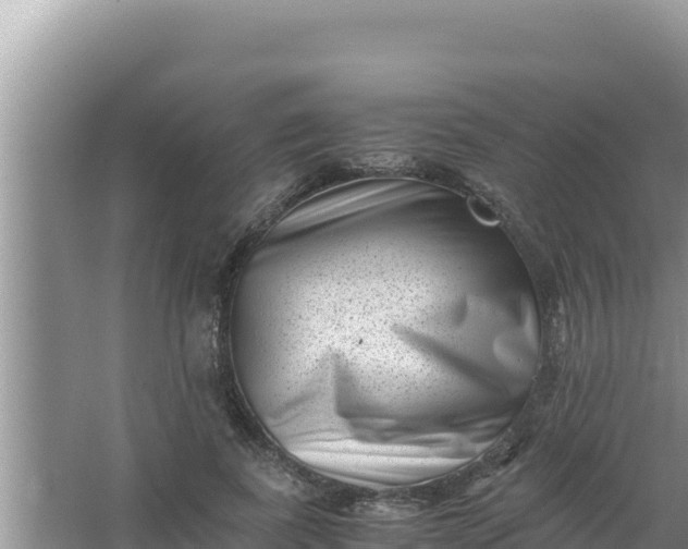 X0000066960739200604072004