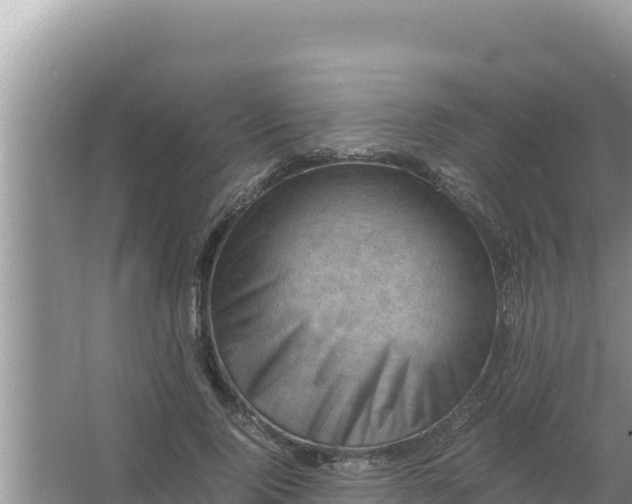 X0000066960740200604072004