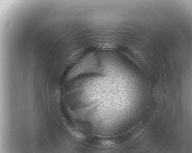 X0000066960741200604072004