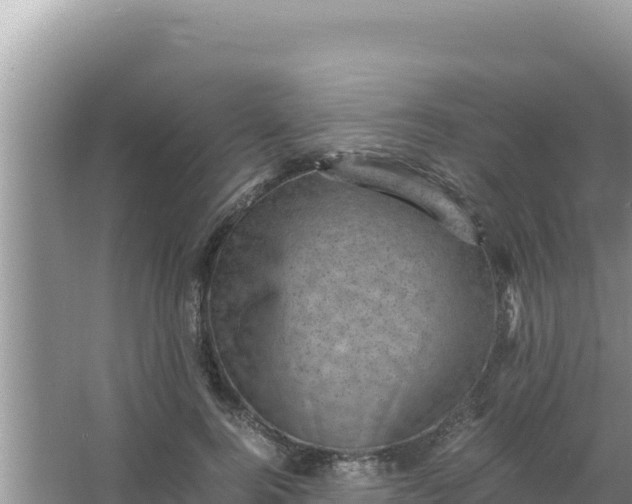 X0000066960744200604072004