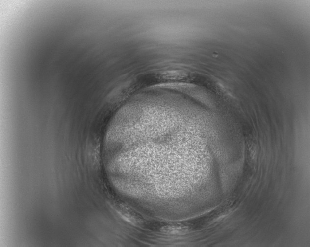 X0000066960745200604072004