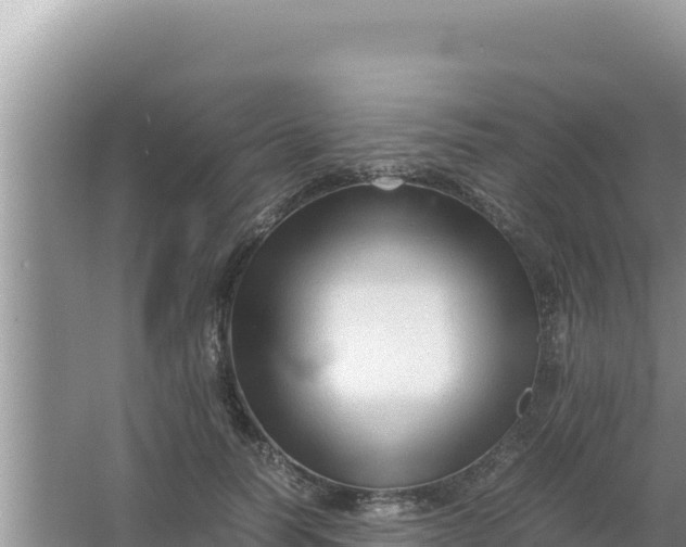 X0000066960746200604072004