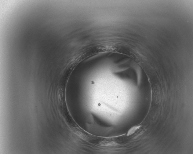 X0000066960747200604072004