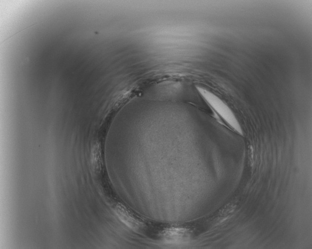 X0000066960748200604072004