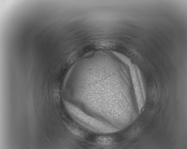 X0000066960749200604072004