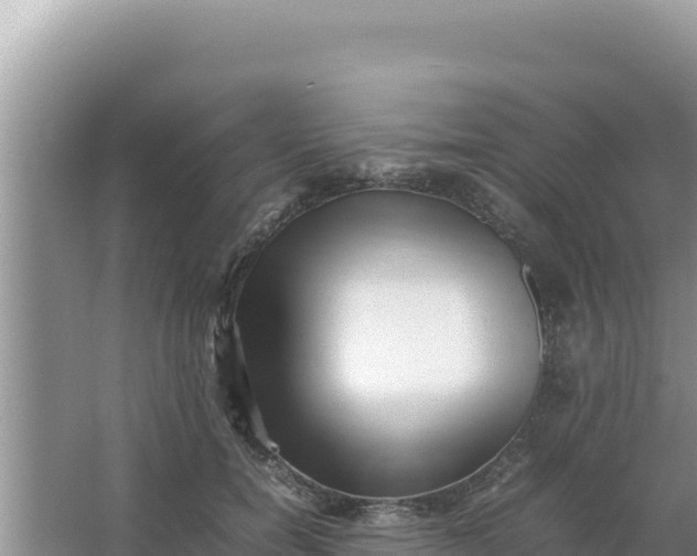 X0000066960750200604072004